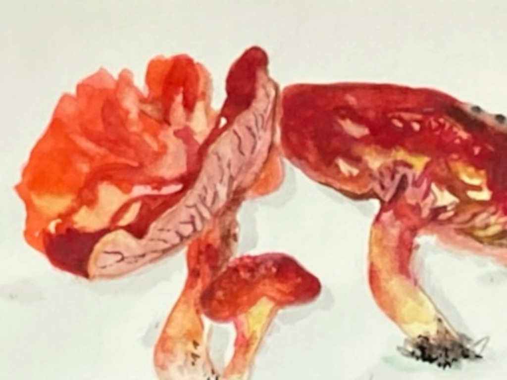 Russula L (detail), by Kelli Fifield